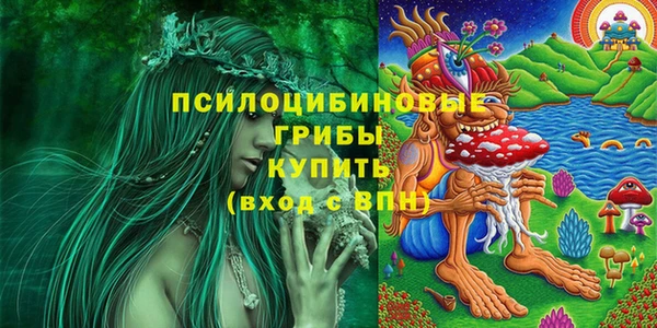 кокс Кинешма