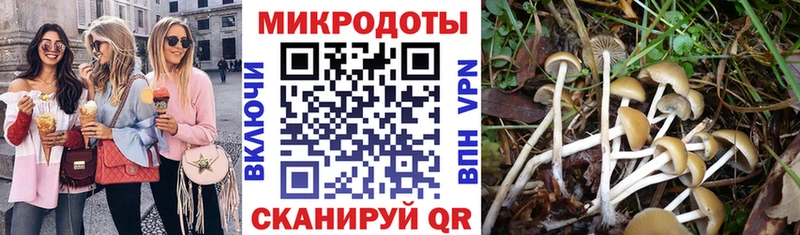 Купить закладки  Усть-Илимск  Галлюциногенные грибы ЛСД 